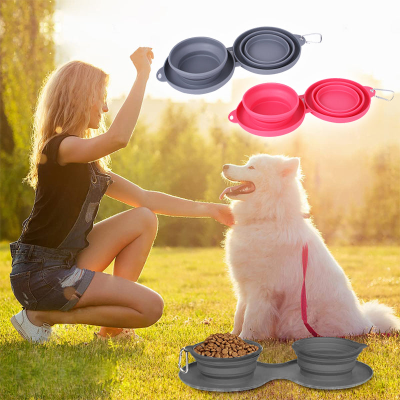 Travel Dog Dinner Set
