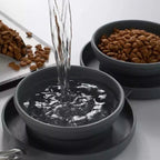 Travel Dog Dinner Set