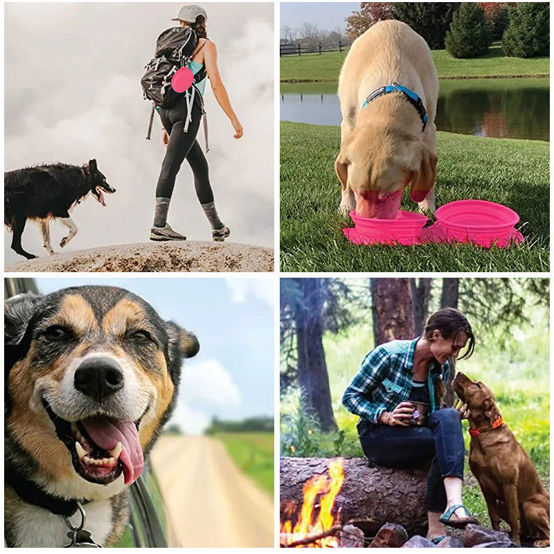 Travel Dog Dinner Set