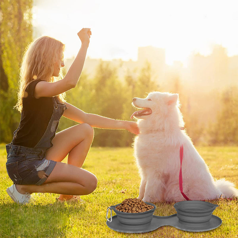 Travel Dog Dinner Set