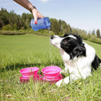 Travel Dog Dinner Set