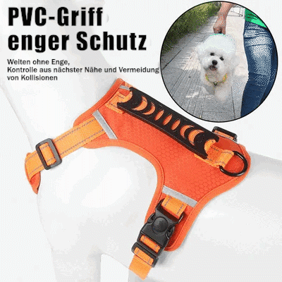 No Pull Dog Harness for Pets