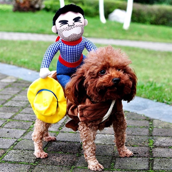 The Cowboy Rider Dog Costume