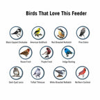 BirdHaven Squirrel-Proof Bird Feeder