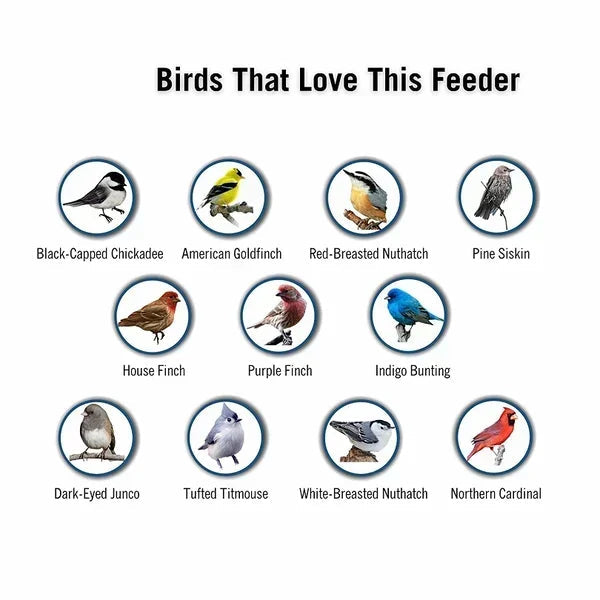BirdHaven Squirrel-Proof Bird Feeder