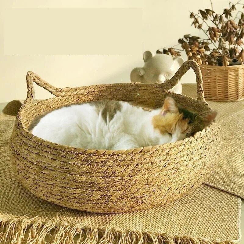 Haven Pet Retreat