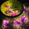 Fruit Grape String Lights LED Battery USB Decorative String Light