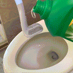 Long-handled Toilet Brush - Say goodbye to stains.
