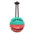 Round Food-Dispensing Puzzle Ball for Dogs