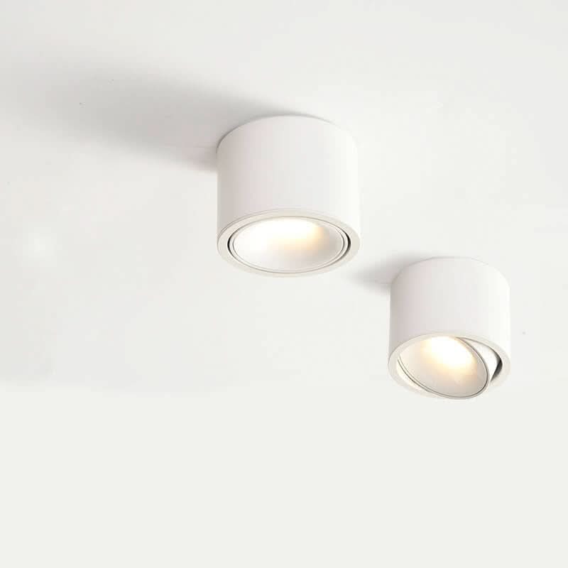 Adjustable LED Flush Mount Ceiling Spotlight