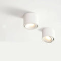 Adjustable LED Flush Mount Ceiling Spotlight