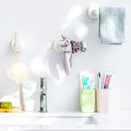Wall Mounted Hook