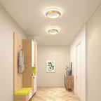 LED Ceiling Light Modern Flush Mount Fixture