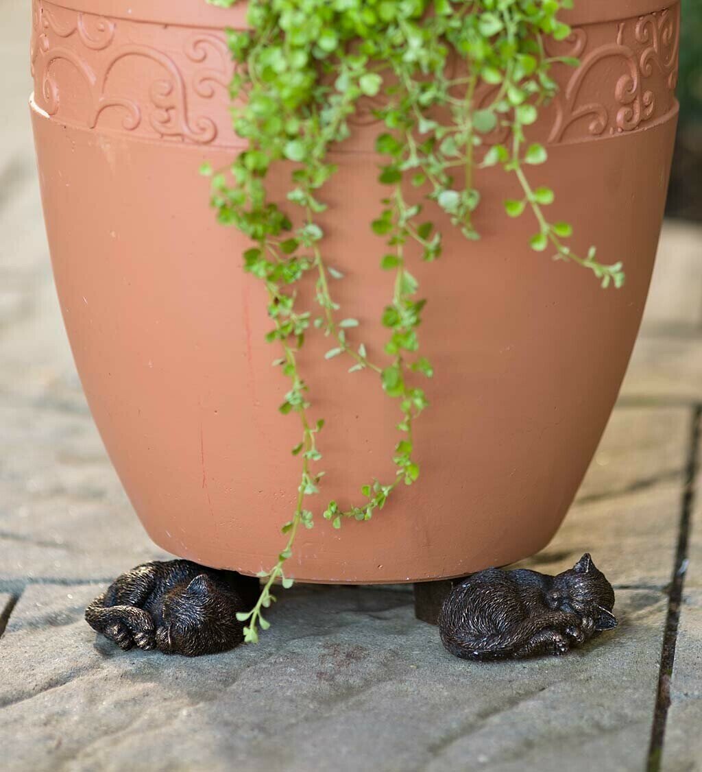 PotStand Healthy Root Support