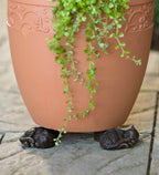 PotStand Healthy Root Support