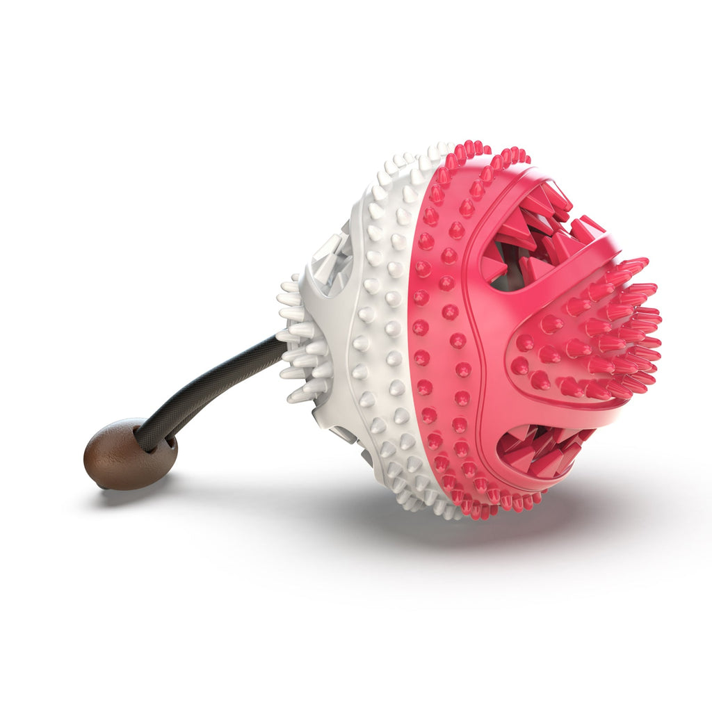 Round Food-Dispensing Puzzle Ball for Dogs