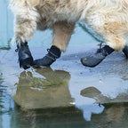 Outdoor waterproof breathable hiking running non-slip dog shoes