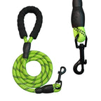 3-in-1 Pet Walking Kit