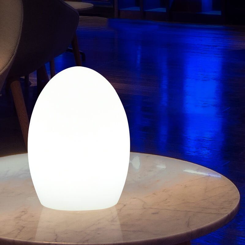 RGB ABS Egg-shaped LED Decorative Table Lamp