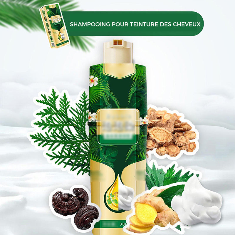 Foam shampoo for hair coloring