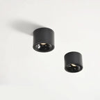 Adjustable LED Flush Mount Ceiling Spotlight