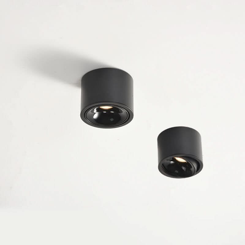 Adjustable LED Flush Mount Ceiling Spotlight