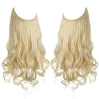 Long Curly Wavy Wig