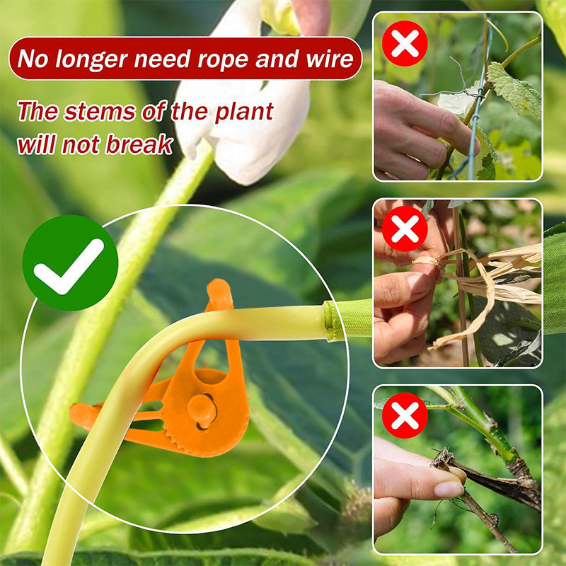 Plant bending tools
