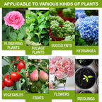 Plant Growth Enhancer Supplement