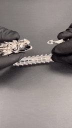 Dragon Bracelet