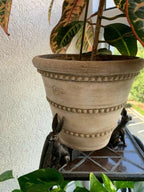PotStand Healthy Root Support