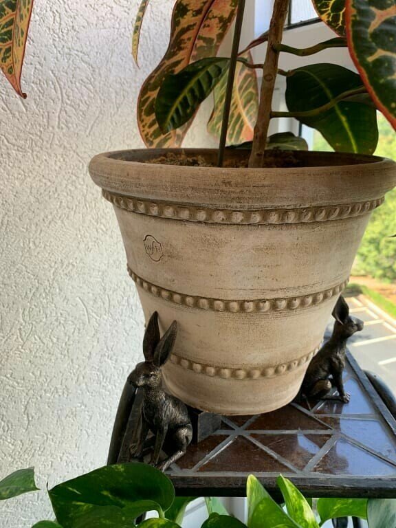 PotStand Healthy Root Support
