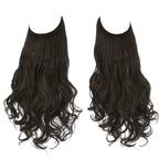Long Curly Wavy Wig