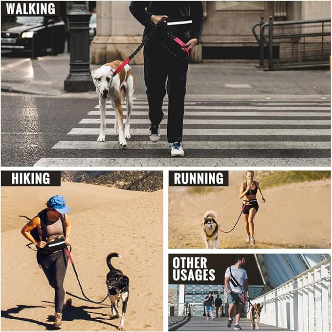 PawsFree Pro – Enjoy stress-free walks with your dog