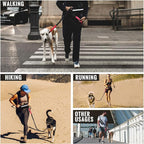 PawsFree Pro – Enjoy stress-free walks with your dog