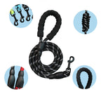 3-in-1 Pet Walking Kit