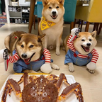 Chucky-Inspired Pet Costume for Dogs and Cats