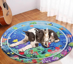 FelineSplash — Unleash your cat's wild hunting joy without chaos and stress!
