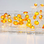 Modern Thanksgiving Maple Acorn Pumpkin Decoration 30 LED String Lights