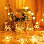 Battery-Powered Elk LED String Lights with Built-In LEDs and Multiple Lengths