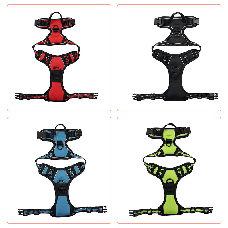 3-in-1 Pet Walking Kit