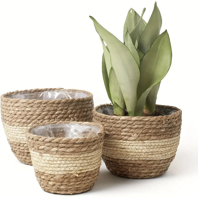 Decorative plant baskets made of seagrass in a set of 3 – Handwoven flower pots with foil insert