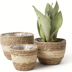 Decorative plant baskets made of seagrass in a set of 3 – Handwoven flower pots with foil insert