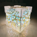 Blossom Box | Magical Tulip Light