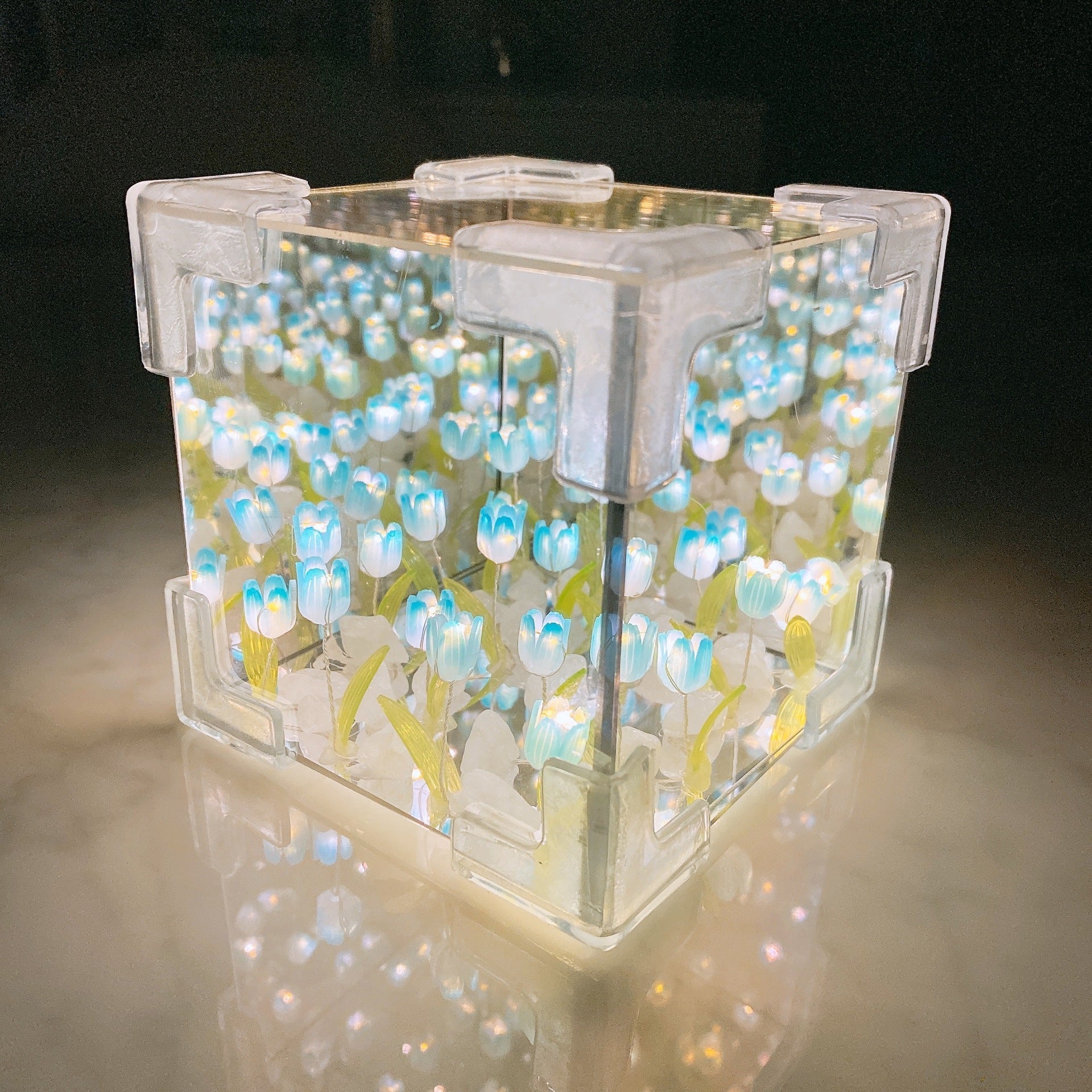 Blossom Box | Magical Tulip Light