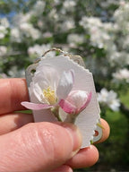 FloraKeep – Keep your beloved flowers fresh forever!