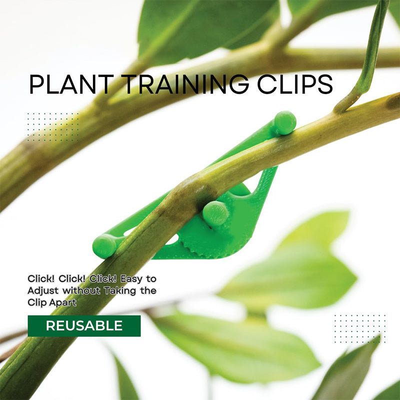 Plant bending tools