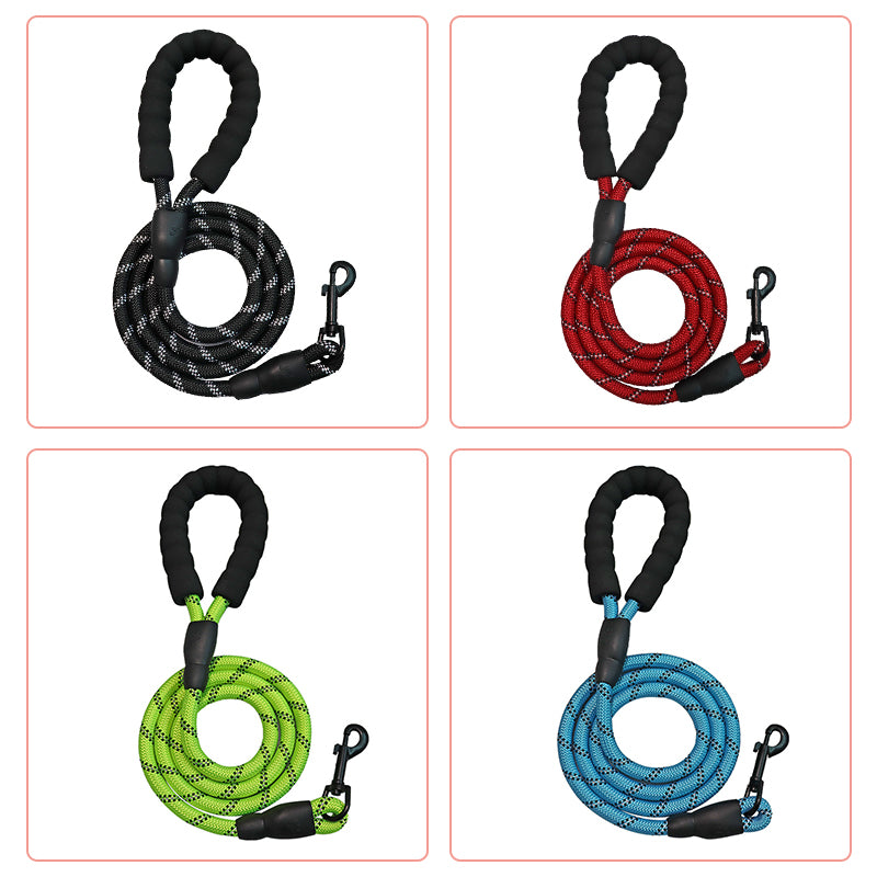 3-in-1 Pet Walking Kit