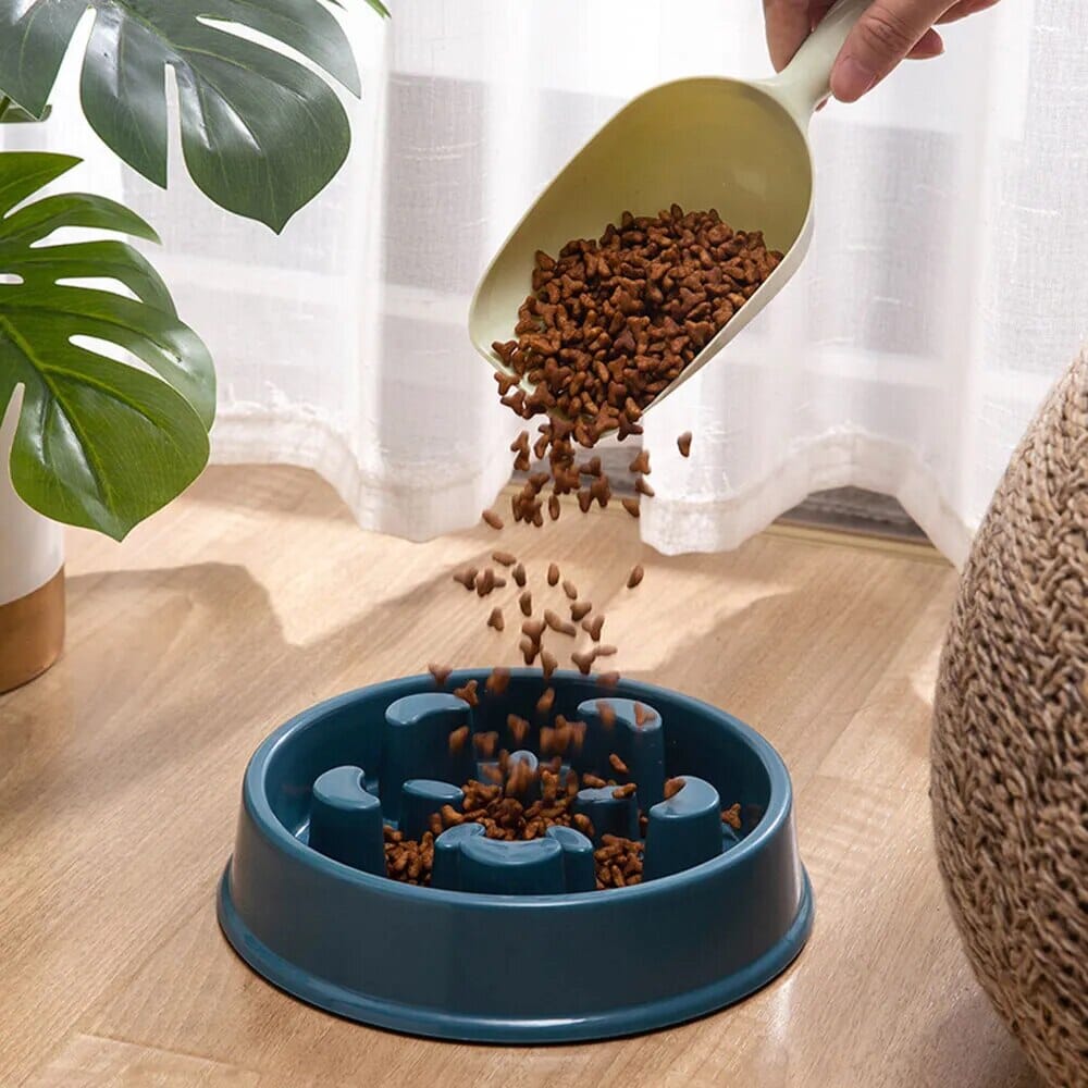 Feed Dispenser
