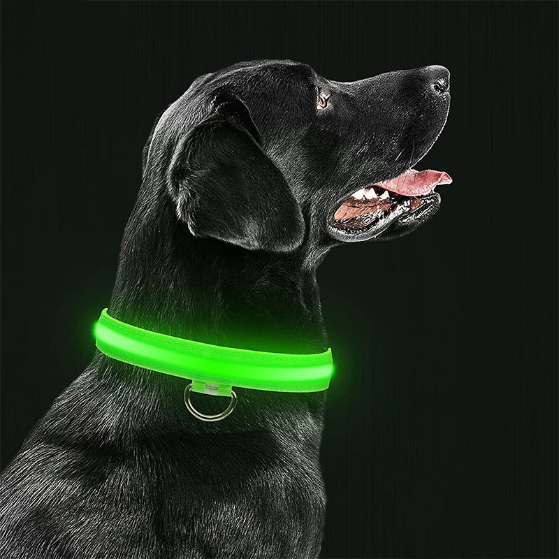 Luminous Animal Collar with LED Light – Rechargeable, Waterproof, Adjustable Fit for Enhanced Safety at Night